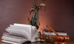 Nowelizacja kpa i ppsa.